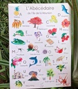 poster-abecedaire-colore