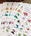 poster-abecedaire-colore multiple