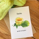 ok-carte-postale-chocuhou-gratin