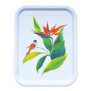 plateaux_oiseaux-paradis_1024