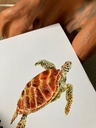 CARNET DE NOTES TORTUE VERTE