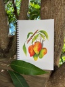 carnet-mangue