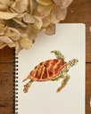 CARNET DE NOTES TORTUE VERTE