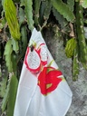 torchon-pitaya(1)