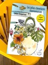 coloriage-chevelure
