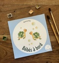 STICKER BÉBÉ A BORD - LES DEUX PETITES TORTUES FRANÇAIS