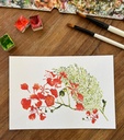 CARTE POSTALE - LES FLAMBOYANTS