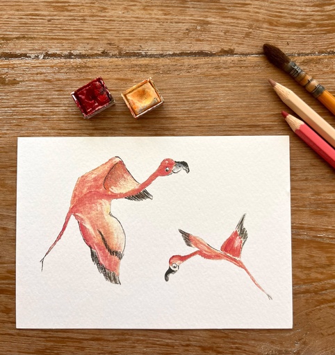 [3954] CARTE POSTALE LES FLAMANTS VOLANTS