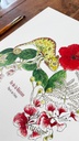 AFFICHE LE CAMELEON ET LES FLEURS
