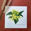 AFFICHE LE XANTHOSTEMON