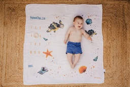 ​Bébé et enfant / Carrés photos et toises / Carrés photos