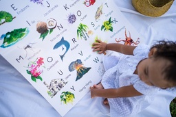 ​Bébé et enfant / Papeterie enfant / Posters Abécédaires