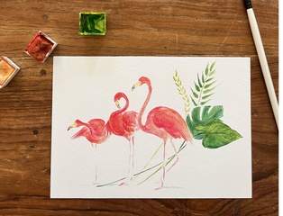 CARTE POSTALE LES FLAMANTS ROSES
