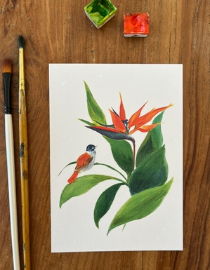 CARTE POSTALE RÉUNION - L'OISEAU DE PARADIS