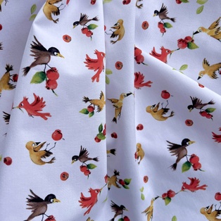 TISSU COTON OEKO TEX - LES OISEAUX ET LES GOYAVIERS