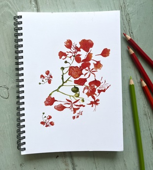 CARNET DE NOTES - LES FLAMBOYANTS