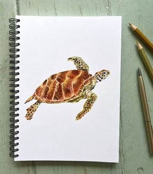 CARNET DE NOTES LA TORTUE VERTE