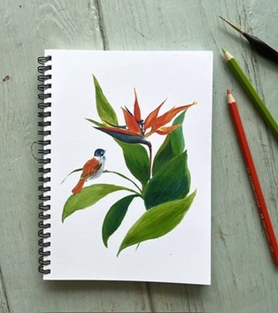 CARNET DE NOTES - L'OISEAU DE PARADIS