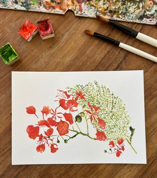 CARTE POSTALE - LES FLAMBOYANTS