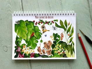 CARNET DE NOTES LA CUEILLETTE DES GOYAVIERS - CARNET DE DESSIN
