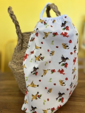 BAVOIR ÉCOLE MATERNELLE - LES OISEAUX ET LES GOYAVIERS