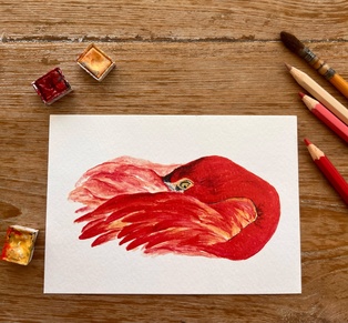 CARTE POSTALE LE FLAMANT ROSE ACRYLIQUE