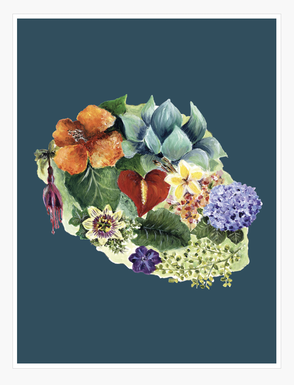 AFFICHE L'ILE AUX FLEURS SUR FOND BLEU