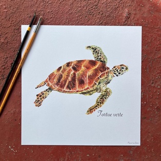 AFFICHE LA TORTUE VERTE