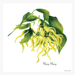 AFFICHE L'YLANG YLANG