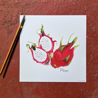 AFFICHE LE PITAYA