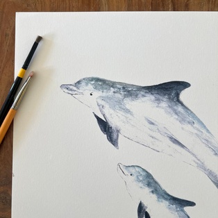 AFFICHE LES DAUPHINS