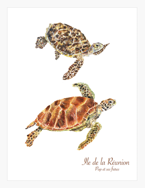 AFFICHE LES  DEUX TORTUES DE MER