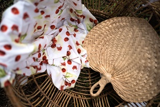 PETIT LANGE LISSE - LES LETCHIS
